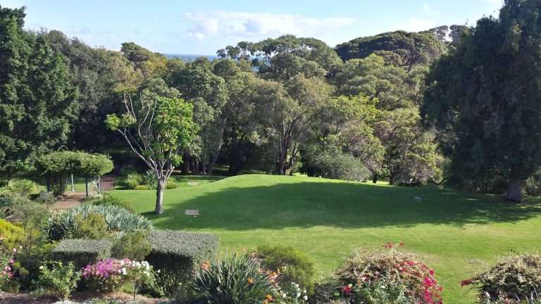 Emily Rose Lawn in the gardens